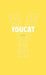 Youcat: Youth Catechism of the Catholic Church by Cardinal Christoph Schonborn