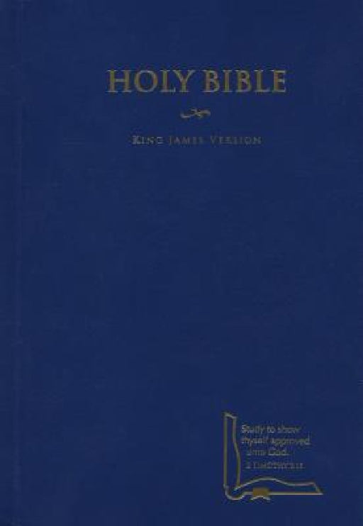 Drill Bible-KJV by Holman Bible Publishers
