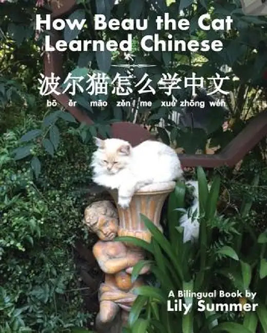 How Beau the Cat Learned Chinese by Lily Summer