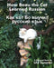How Beau the Cat Learned Russian: A Bilingual Book by Lily Summer