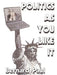 Politics as You Like It: Commentary from the Internet an Example of Writing from the World Wide Web by Bernard Paul, Bernard Wax