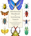 Smithsonian Handbook of Interesting Insects by Blanca Huertas