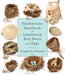 Smithsonian Handbook of Interesting Bird Nests and Eggs by Douglas D. G. Russell