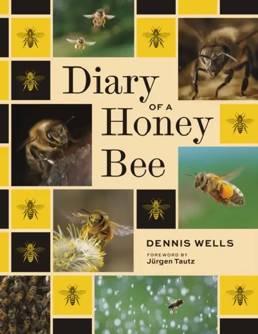 Diary of a Honey Bee by Dennis Wells, Jurgen Tautz