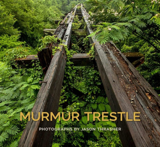 Murmur Trestle by Jason Thrasher