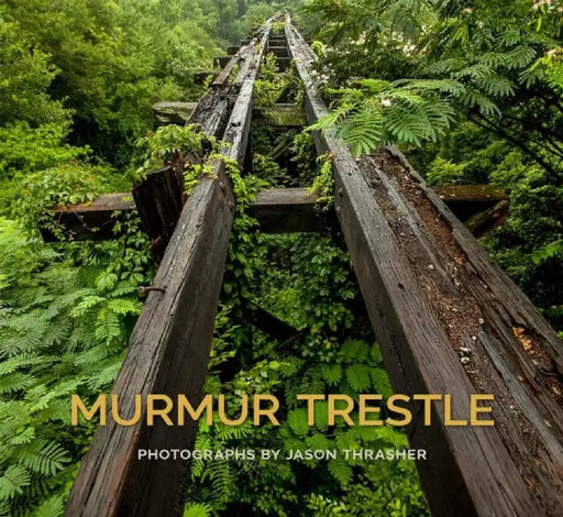 Murmur Trestle by Jason Thrasher
