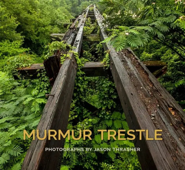 Murmur Trestle by Jason Thrasher
