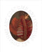 Costume Art by Andrew Bolton, Llewellyn Negrin, Andrew Solomon