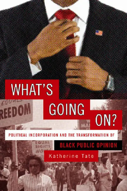 What's Going On?: Political Incorporation and the Transformation of Black Public Opinion by Katherine Tate, Katherine Tate