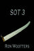 Sot 3: Surgeons of Terror 3 by Ron Wootters