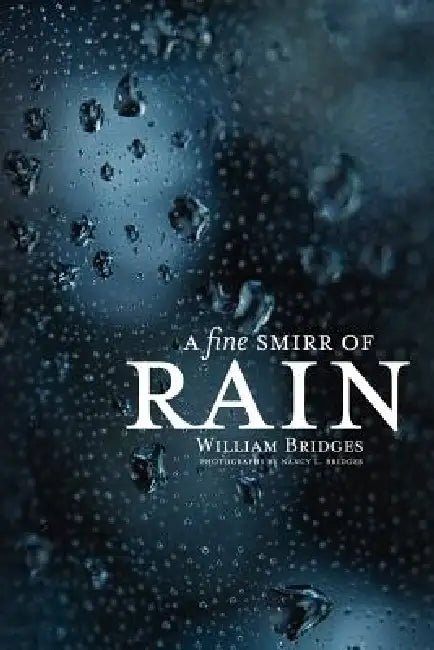 A Fine Smirr of Rain by William Bridges