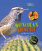 Sonoran Desert by Wayne Lynch
