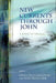 New Currents Through John: A Global Perspective by Francisco, Jr. Lozada