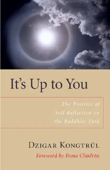 It's Up to You: The Practice of Self-Reflection on the Buddhist Path by Dzigar Kongtrul