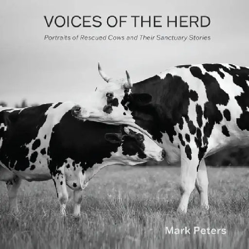 Voices of the Herd: Portraits of Rescued Cows and Their Sanctuary Stories by Peters, Mark