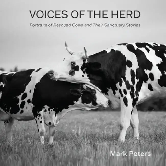 Voices of the Herd: Portraits of Rescued Cows and Their Sanctuary Stories by Peters, Mark