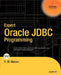 Expert Oracle JDBC Programming by R. M. Menon
