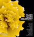Flash Math Creativity by Kip Parker