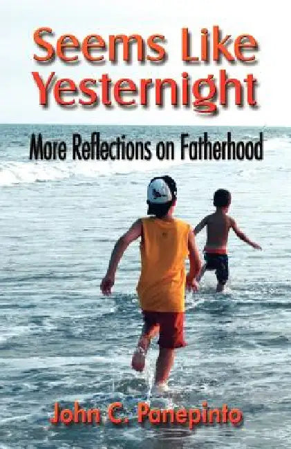 Seems Like Yesternight: More Reflections on Fatherhood by John C. Panepinto