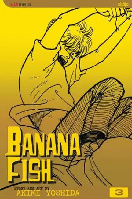 Banana Fish, Volume 3 by Akimi Yoshida