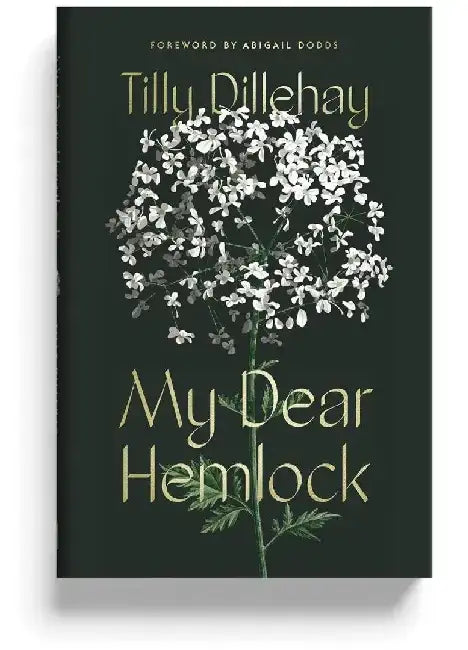 My Dear Hemlock by Tilly Dillehay