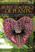The Secret Teachings of Plants: The Intelligence of the Heart in the Direct Perception of Nature by Stephen Harrod Buhner