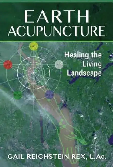 Earth Acupuncture: Healing the Living Landscape by Gail Reichstein Rex