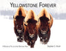 Yellowstone Forever: A Decade in Yellowstone National Park by Stephen C. Hinch