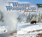 Winter Wonderland in Yellowstone by I-Ting Chiang