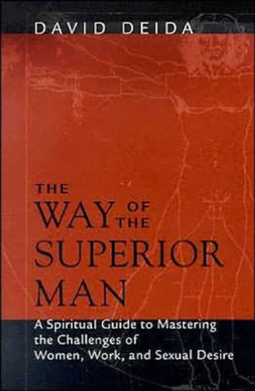 Way Of The Superior Man: A Spiritual Guide to Mastering the Challenges of Women, Work, and Sexual Desire by David Deida