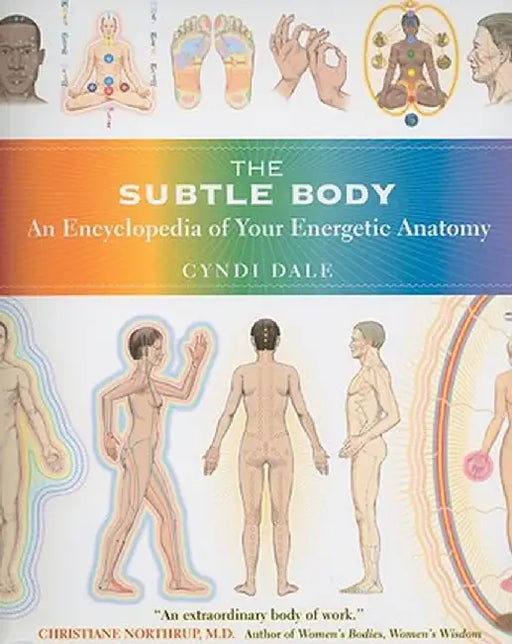 The Subtle Body: An Encyclopedia of Your Energetic Anatomy by Cyndi Dale