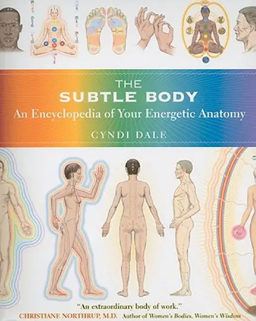 The Subtle Body: An Encyclopedia of Your Energetic Anatomy by Cyndi Dale
