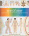 The Subtle Body: An Encyclopedia of Your Energetic Anatomy by Cyndi Dale