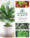 Houseplants: The Complete Guide to Choosing, Growing, and Caring for Indoor Plants by Lisa Eldred Steinkopf
