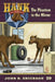 The Phantom in the Mirror by John R. Erickson, Gerald L. Holmes