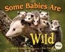 Some Babies Are Wild by Marion Dane Bauer