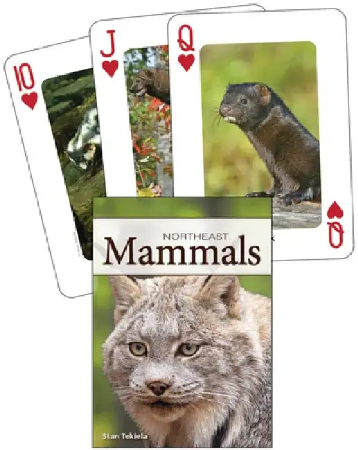 Mammals of the Northeast Playing Cards by Stan Tekiela