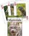 Mammals of the Northeast Playing Cards by Stan Tekiela
