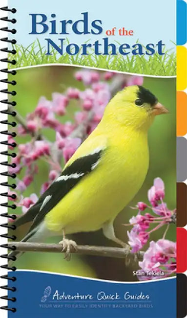 Birds of the Northeast by Stan Tekiela