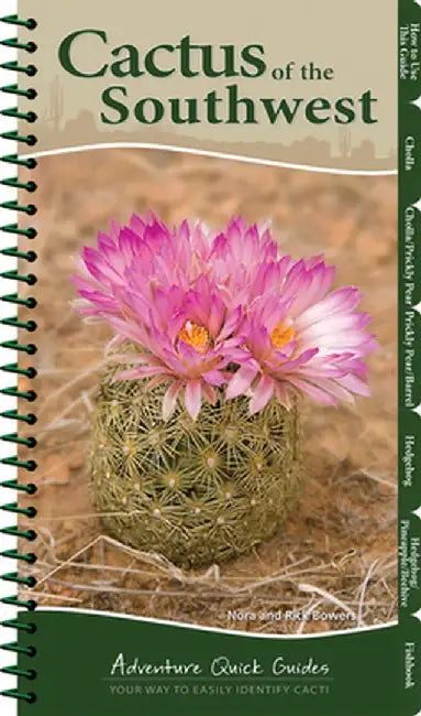 Cactus of the Southwest by Nora Bowers
