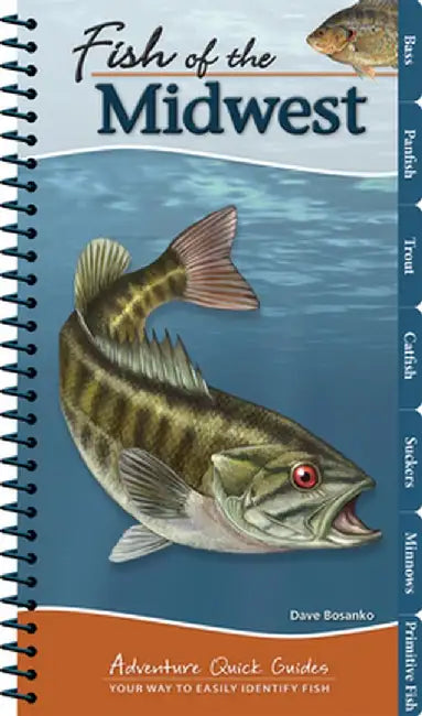 Fish of the Midwest by Dave Bosanko