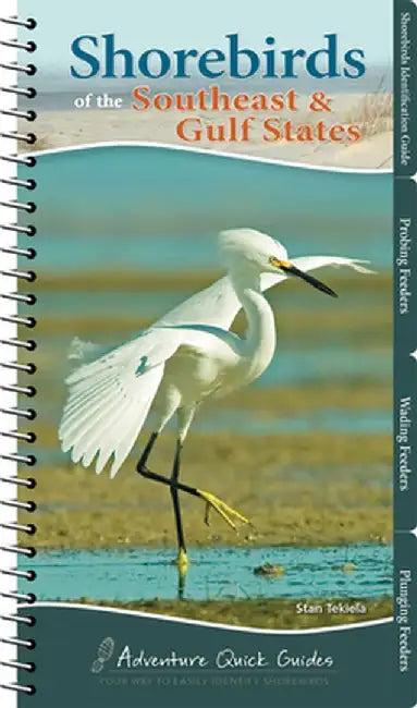 Shorebirds of the Southeast & Gulf States by Stan Tekiela