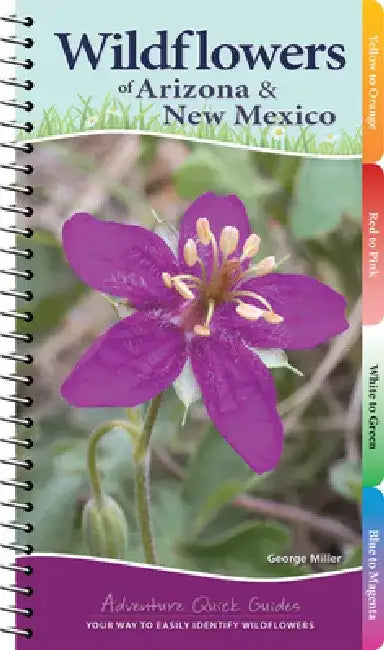 Wildflowers of Arizona & New Mexico: Your Way to Easily Identify Wildflowers by George Oxford Miller