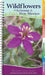 Wildflowers of Arizona & New Mexico: Your Way to Easily Identify Wildflowers by George Oxford Miller