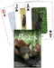 Bears Playing Cards by Stan Tekiela