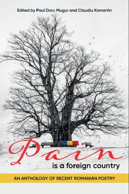 Pain Is a Foreign Country: An Anthology of Recent Romanian Poetry by Paul Doru Mugur