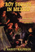 Boy Scouts in Mexico, or On Guard with Uncle Sam by G. Harvey Ralphson