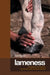 Lameness: Recognizing and Treating the Horse's Most Common Ailment by Christine King, Richard Mansmann
