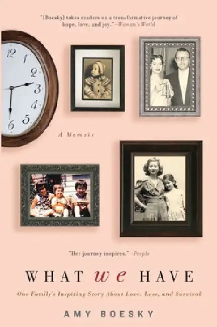 What We Have: A Memoir by Amy Boesky
