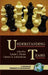 Understanding Teams by Linda L. Neider, Chester A. Schriesheim